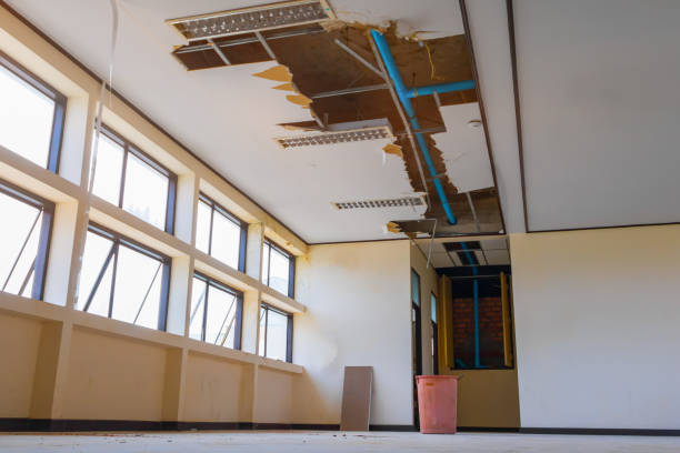 Trusted Big Bear City, CA Water damage restoration Experts