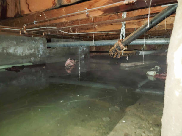 Best Flooded house restoration  in Big Bear City, CA