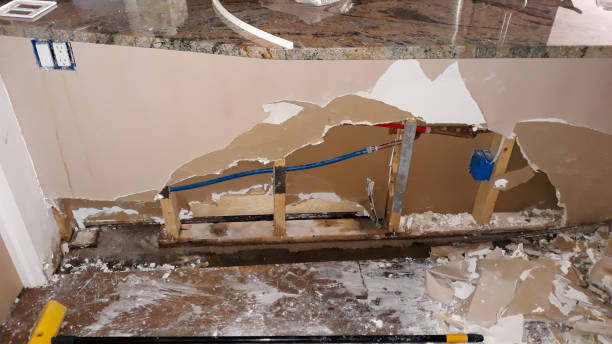 Best Mold removal after water damage  in Big Bear City, CA