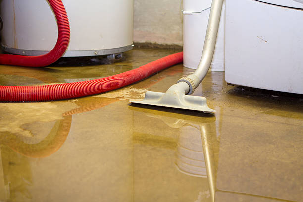 Best Ceiling water damage repair  in Big Bear City, CA