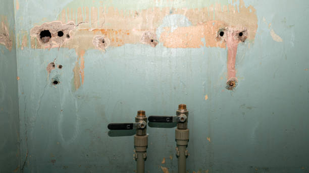 Best Commercial water damage restoration  in Big Bear City, CA