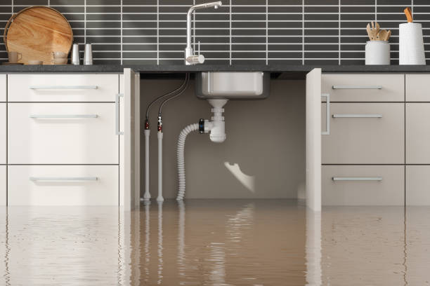 Best Professional water damage repair  in Big Bear City, CA