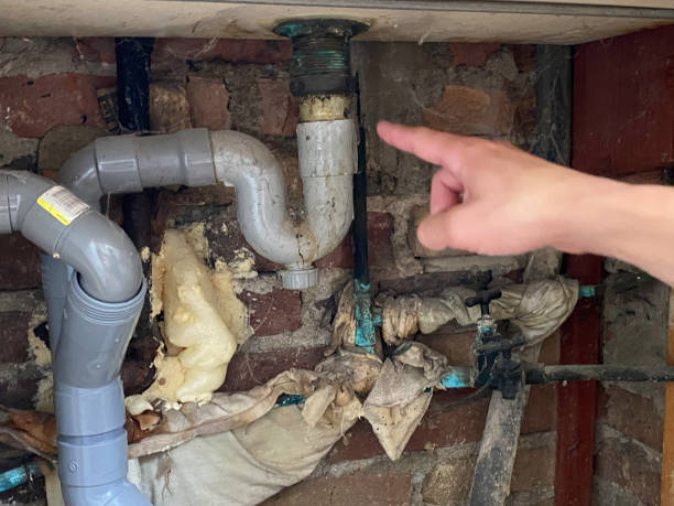 Best Water damage contractors near me  in Big Bear City, CA